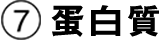 蛋白質